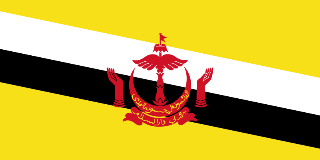 Visa công tác Brunei